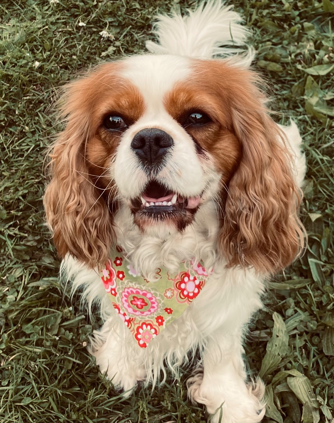 Trinity Du Temps Des Amazones